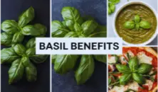 Basil: 10 Science-Based Health Benefits